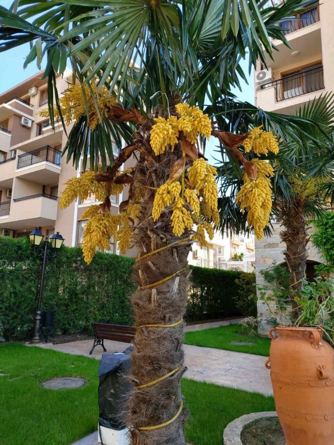 Cascadas Studio Daire Sunny Beach Dış mekan fotoğraf